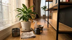 葉は元気なのに花が咲かない？スパティフィラムの「湿り具合」を指で見抜く水やりと底面給水のコツ